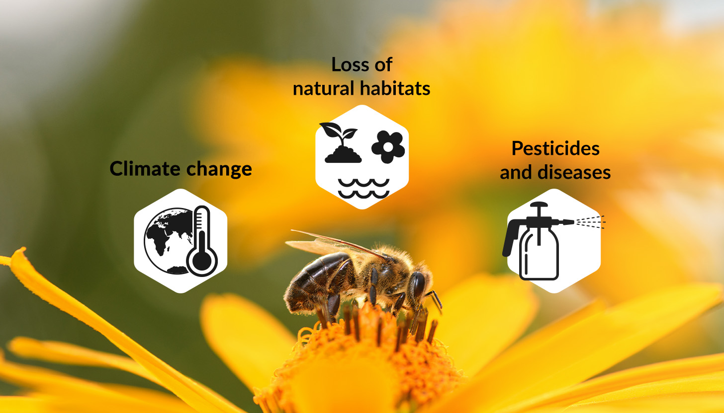 Bees in nature have disappeared