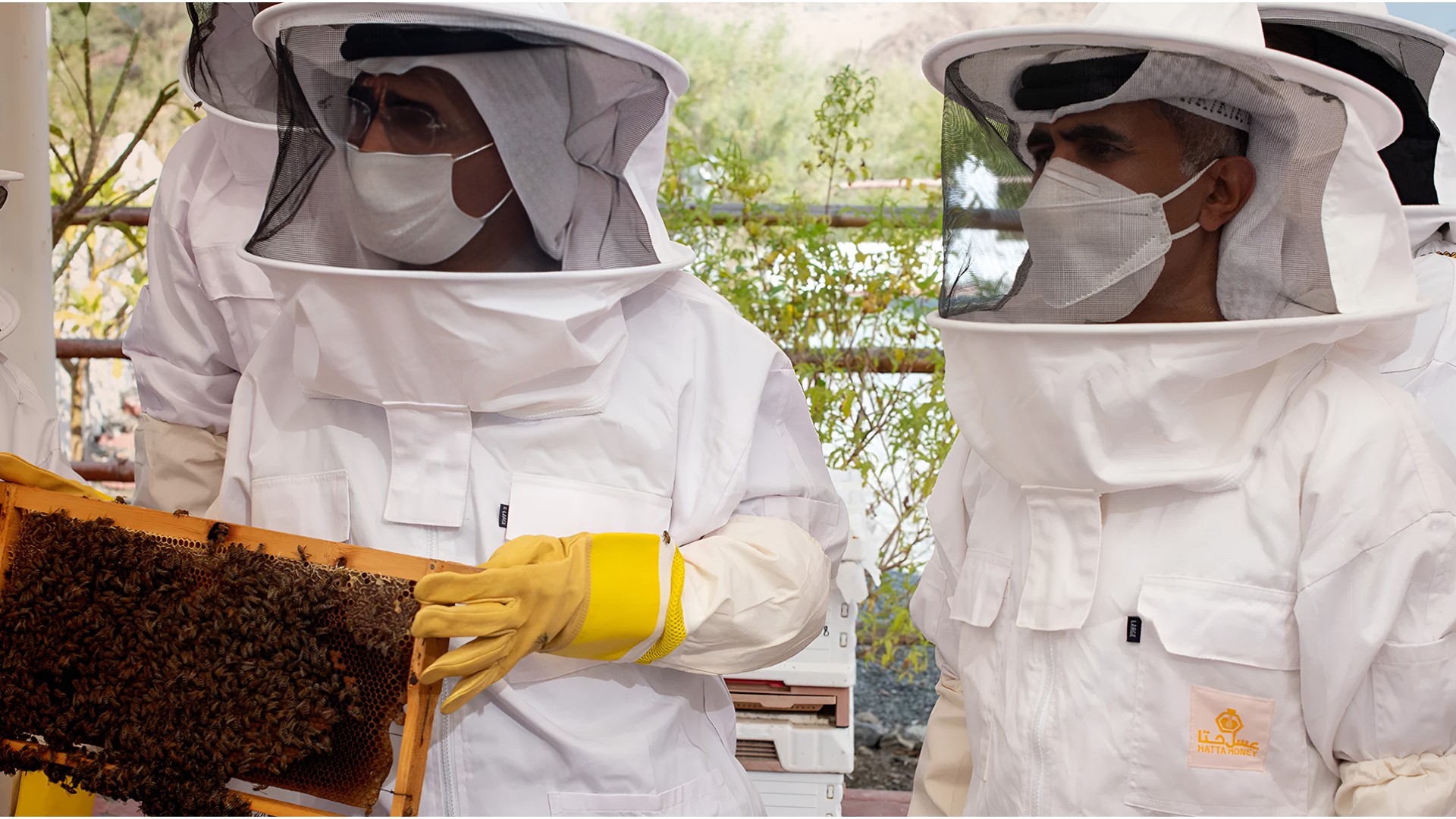 Minister of Climate Change and Environment Discusses Challenges of Apiculture with Hatta Honey