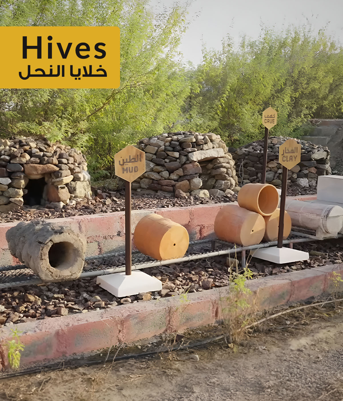 Take guided tours to explore our active beehives